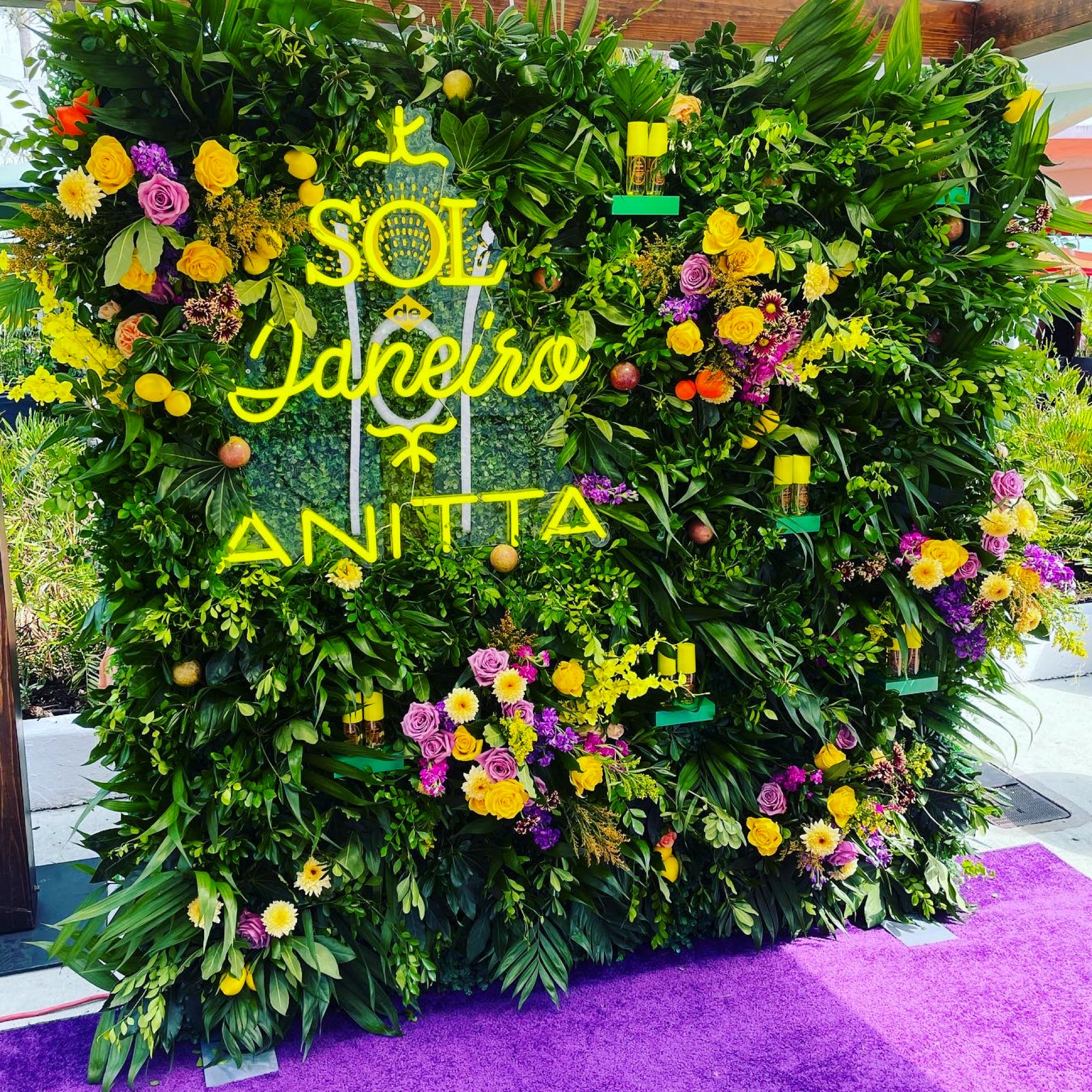 Sol Janeiro x Anitta